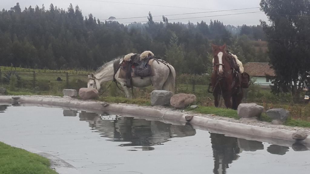 La Quinta Colorada Ξενοδοχείο Lasso Εξωτερικό φωτογραφία